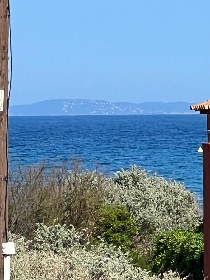 Plein Sud, Bel Appartement 20 Metres De La Plage La Capte Hyères Eksteriør billede